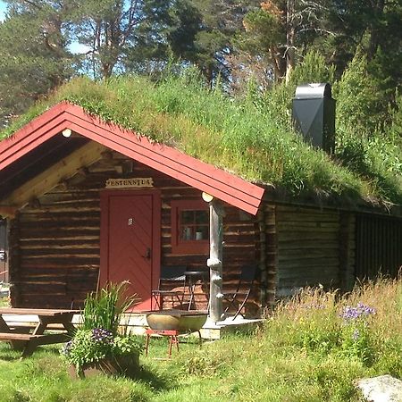 Batsto Camping Elga Екстериор снимка