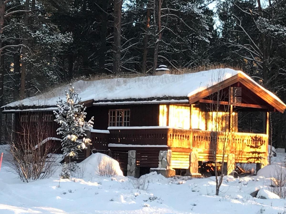 Batsto Camping Elga Екстериор снимка