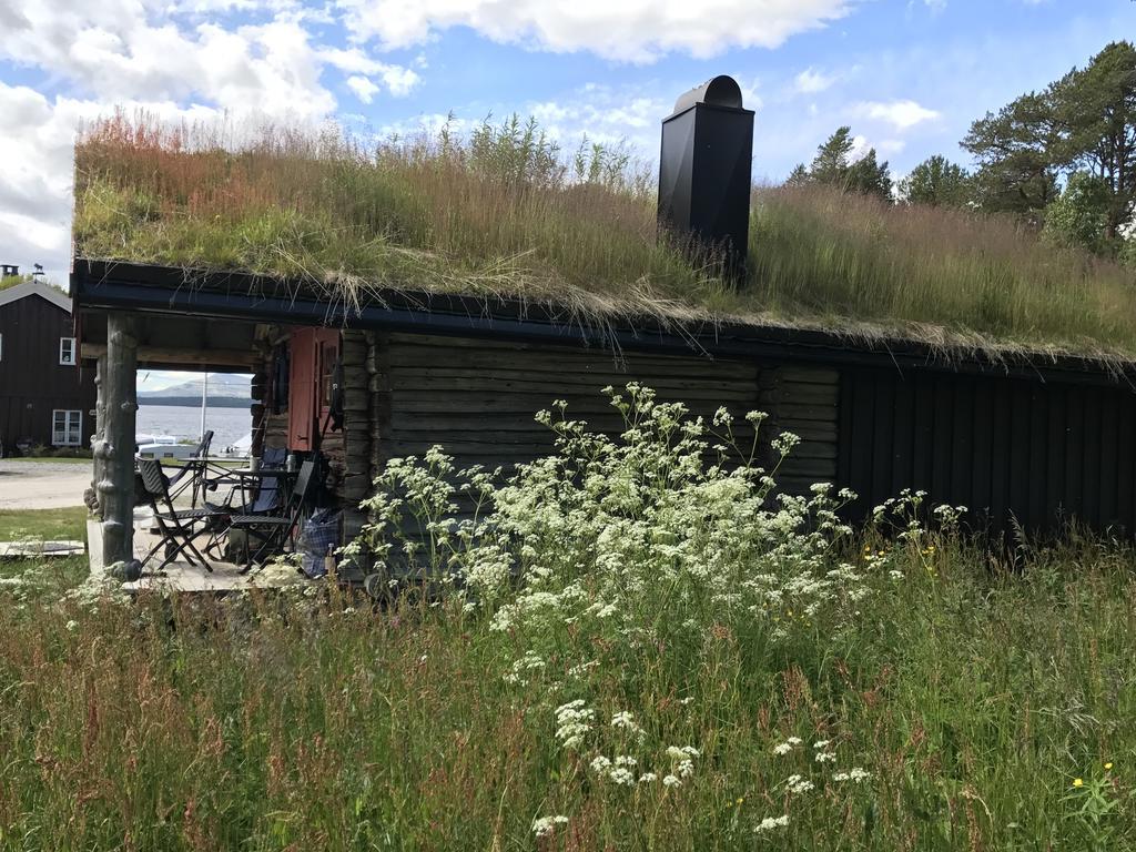 Batsto Camping Elga Екстериор снимка