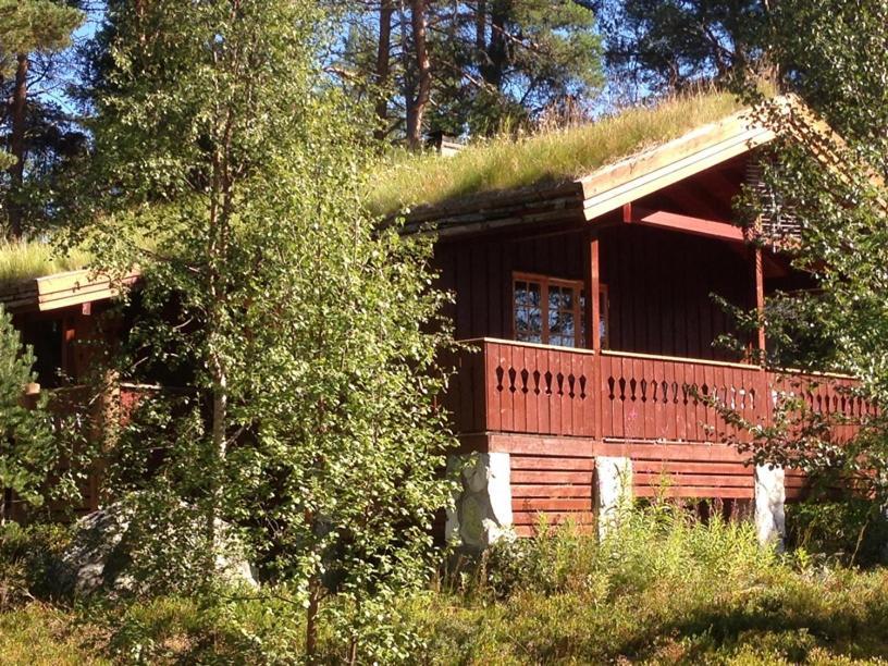 Batsto Camping Elga Екстериор снимка