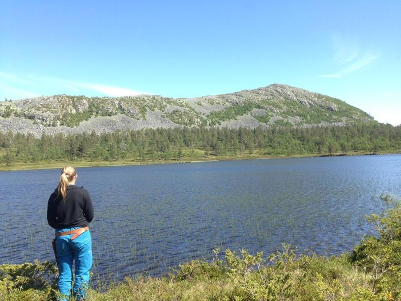 Batsto Camping Elga Екстериор снимка