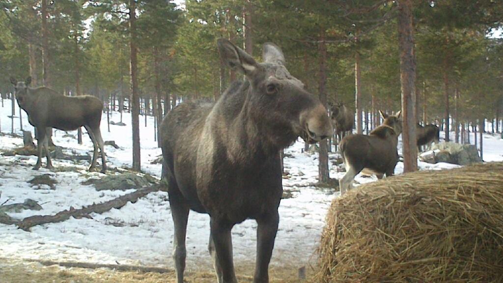 Batsto Camping Elga Екстериор снимка